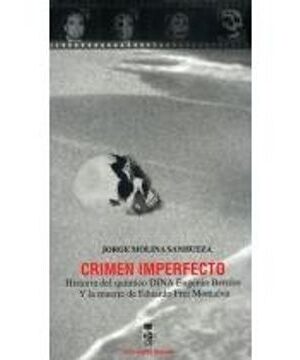 22812-CRIMEN IMPERFECTO