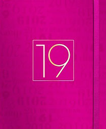 3246-AGENDA METALIZADA CUADERNO 2019