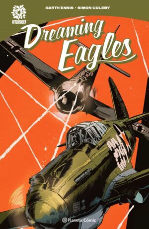 30557-DREAMING EAGLES