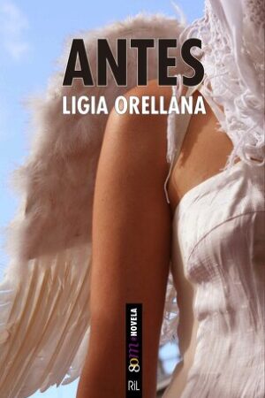 29397-ANTES
