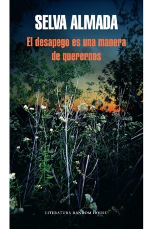 27092-DESAPEGO ES UNA MANERA DE QUERERNOS, EL