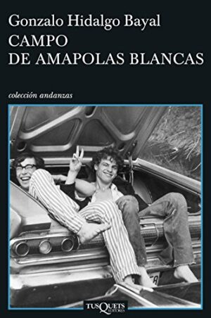 35317-CAMPO DE AMAPOLAS BLANCAS