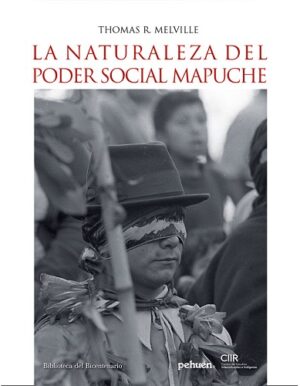 18470-NATURALEZA DEL PODER SOCIAL MAPUCHE, LA