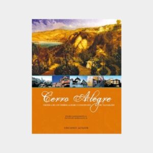 37154-CERRO ALEGRE