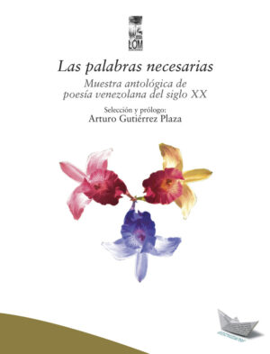 28626-PALABRAS NECESARIAS, LAS