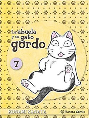 40582-ABUELA Y SU GATO GORDO 7