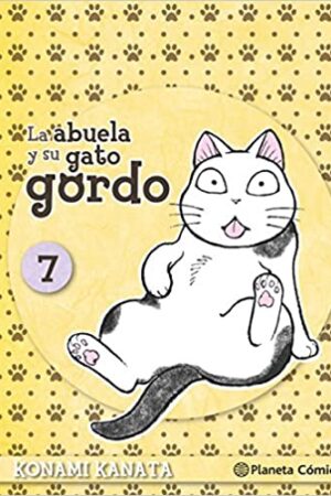 40582-ABUELA Y SU GATO GORDO 7