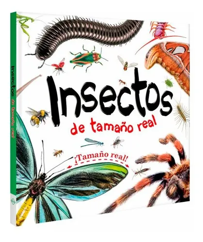 27448-INSECTOS DE TAMAÑO REAL