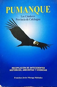 43578-PUMANQUE / CONDORES PROVINCIA DE COLCHAG