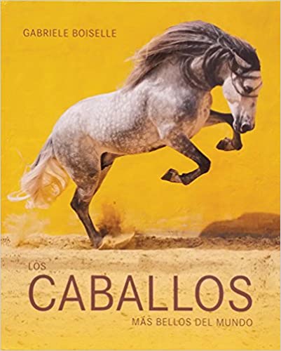 44002-CABALLOS MAS BELLOS DEL MUNDO