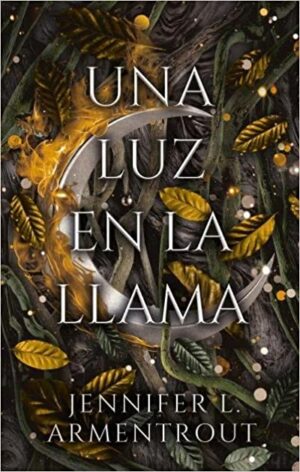 43911-UNA LUZ EN LA LLAMA