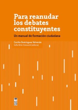 44976-PARA REANUDAR LOS DEBATES CONSTITUYENTES