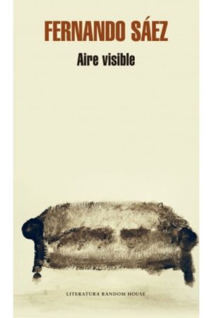 29186-AIRE VISIBLE