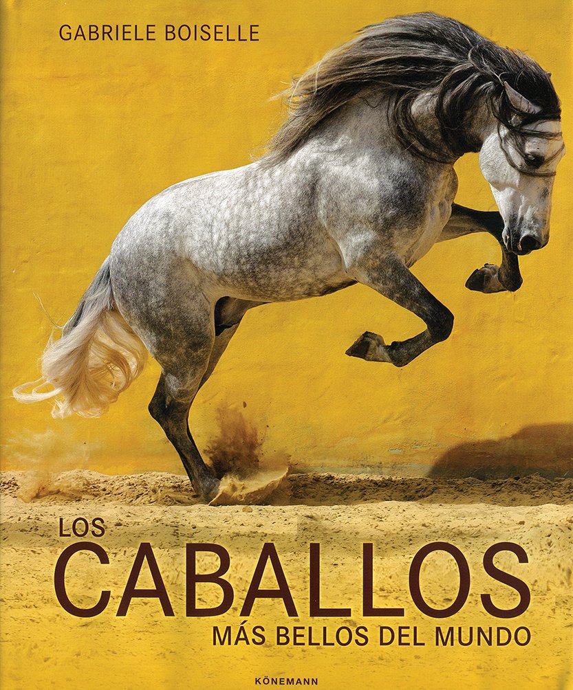 29575-LOS CABALLOS MAS BELLOS DEL MUNDO