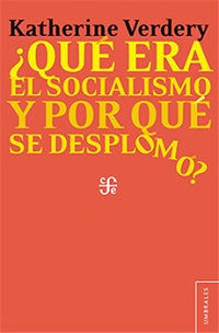 14365-QUE ERA EL SOCIALISMO Y POR QUE SE DESPLOMO?