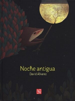 46277-NOCHE ANTIGUA