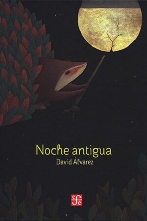 46277-NOCHE ANTIGUA