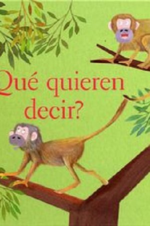 45507-QUE QUIEREN DECIR