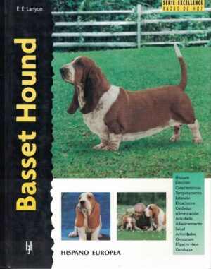 47242-BASSET HOUND