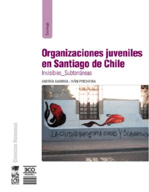 47152-ORGANIZACIONES JUVENILES EN SANTIAGO DE CHILE
