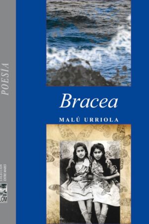 48592-BRACEA