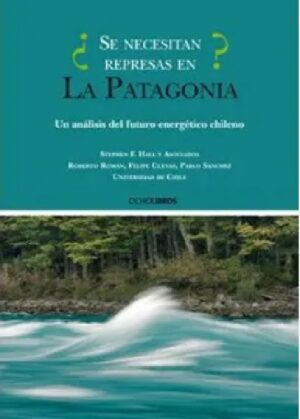 48259-SE NECESITAN REPRESAS EN LA PATAGONIA?