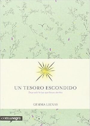 48969-UN TESORO ESCONDIDO