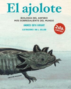 49425-EL AJOLOTE