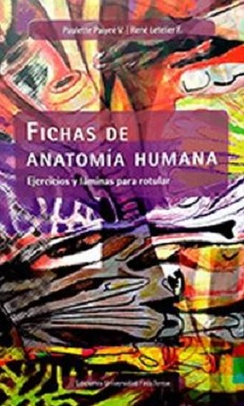 51038-FICHAS DE ANATOMIA HUMANA : EJERCICIOS Y LAMINTAS PARA ROTULAR