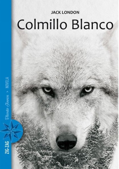 16718-COLMILLO BLANCO