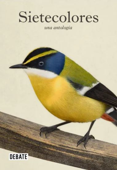 53213-SIETECOLORES: UNA ANTOLOGIA