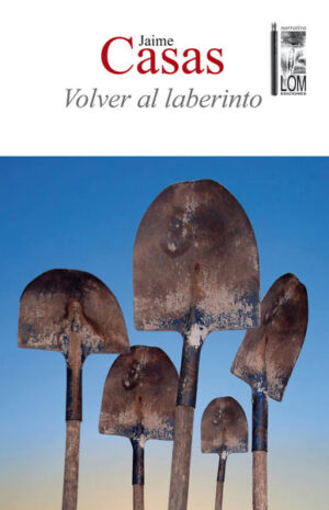29019-VOLVER AL LABERINTO