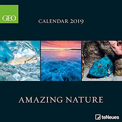 3267-2019 GEO AMAZING NATURE GRID CALENDAR