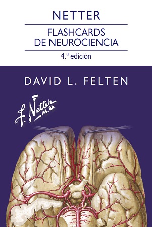 55833-NETTER / FLASHCARDS DE NEUROCIENCIA 4 /ED