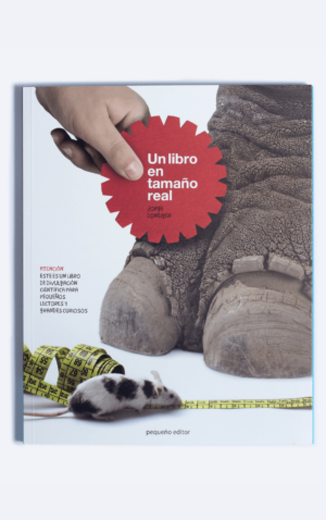 19980-UN LIBRO EN TAMAÑO REAL