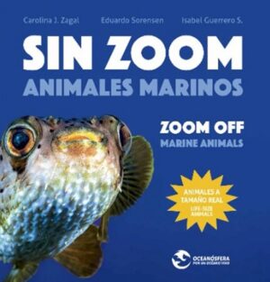 58067-SIN ZOOM: ANIMALES MARINOS / ZOOM OFF: MARINE ANIMALS