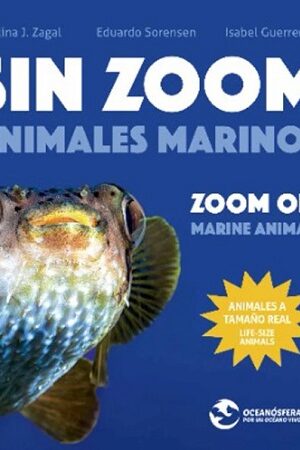 58067-SIN ZOOM: ANIMALES MARINOS / ZOOM OFF: MARINE ANIMALS