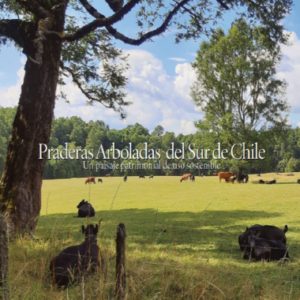 40388-PRADERAS ARBOLADAS DEL SUR DE CHILE. UN PAISAJE PATRIMONIAL DE USO SOSTENIBLE