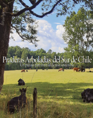 40388-PRADERAS ARBOLADAS DEL SUR DE CHILE. UN PAISAJE PATRIMONIAL DE USO SOSTENIBLE