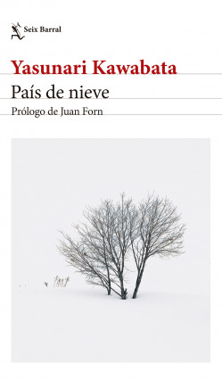 54956-PAIS DE NIEVE