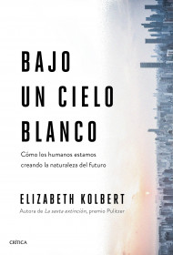 21222-BAJO UN CIELO BLANCO