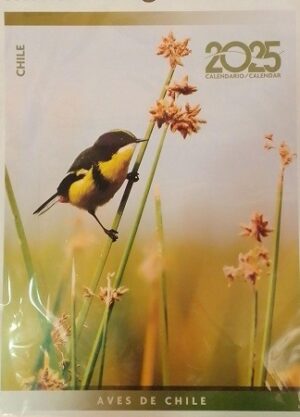 58649-CALENDARIO MURAL 2025 AVES DE CHILE