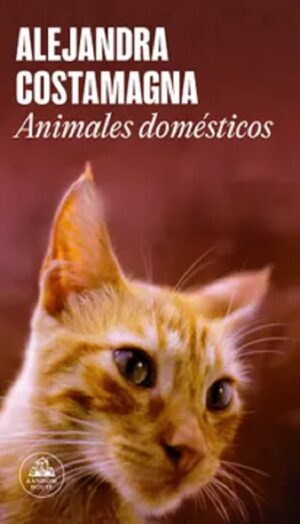 58681-ANIMALES DOMESTICOS