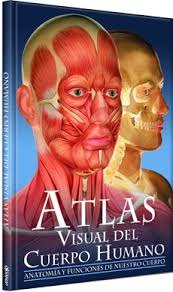 31885-ATLAS VISUAL DEL CUERPO HUMANO