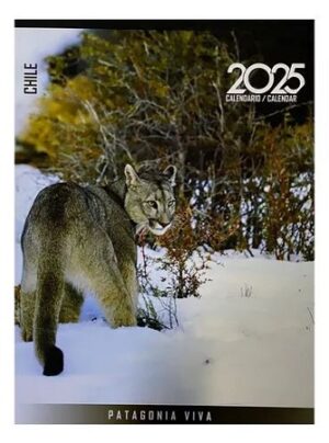 59007-CALENDARIO PARED PATAGONIA 2025