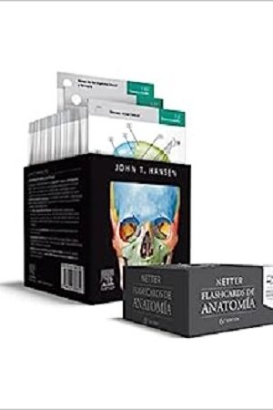 46546-NETTER FLASHCARD DE ANATOMIA 6 /ED