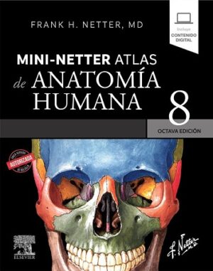 46548-MINI NETTER ATLAS DE ANATOMIA HUMANA 8 /ED