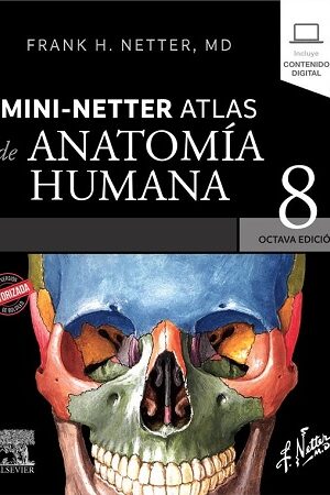 46548-MINI NETTER ATLAS DE ANATOMIA HUMANA 8 /ED