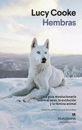 61915-HEMBRAS