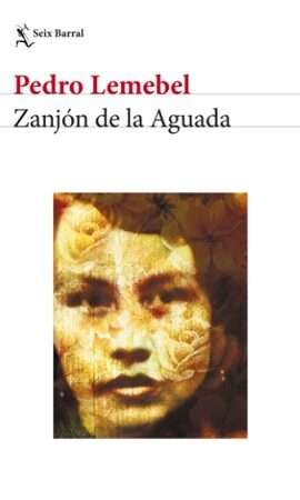 63238-ZANJON DE LA AGUADA